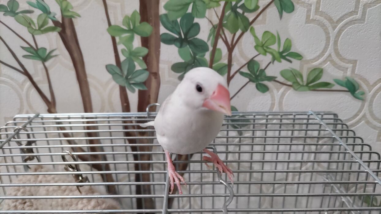 ブログ画像