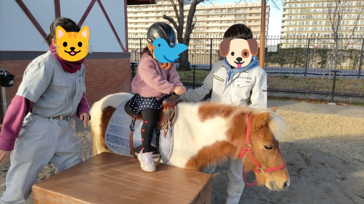 ブログ画像