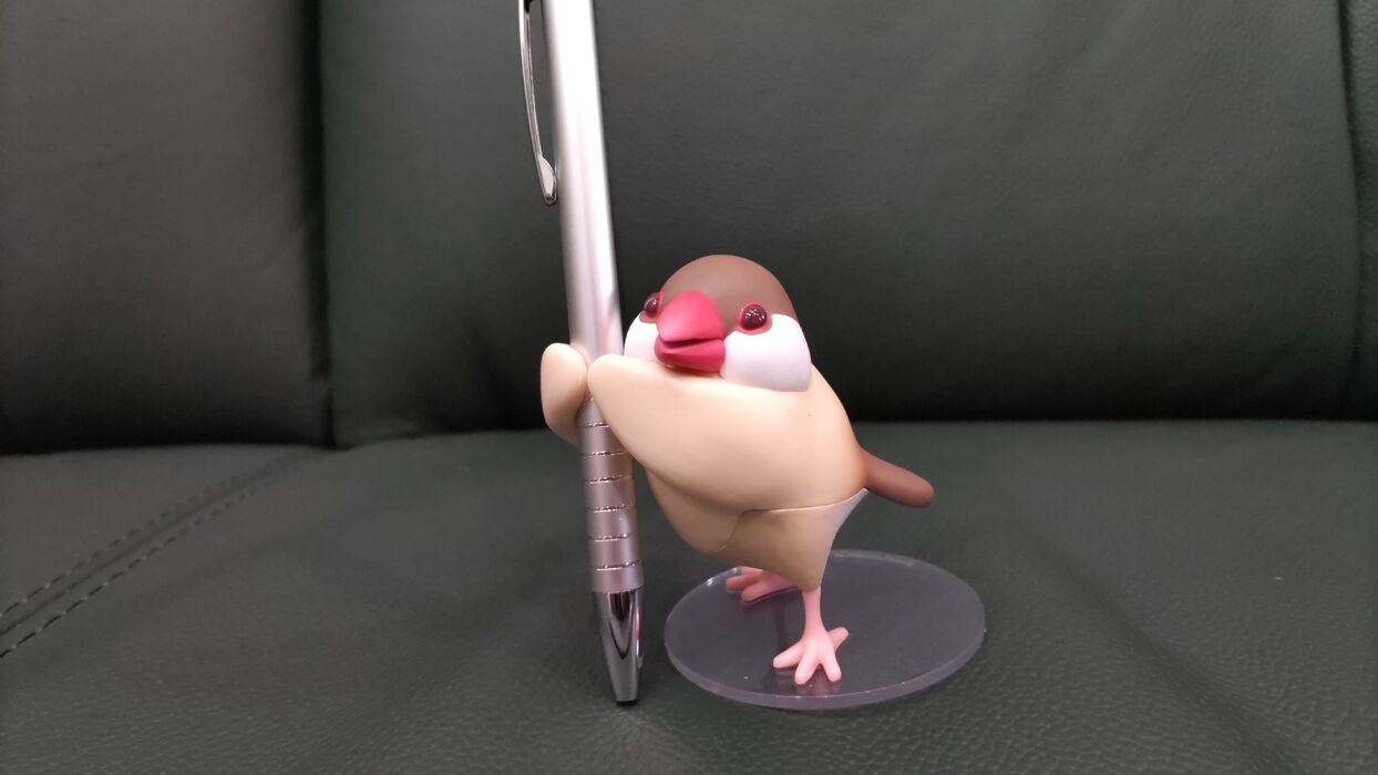 ブログ画像